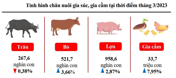 chăn nuôi Nghệ An