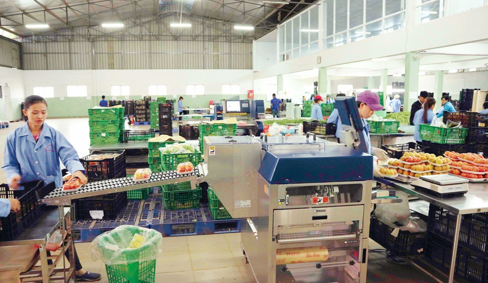 Khuyến công tỉnh Lâm Đồng hiện có chương trình Hỗ trợ có thu hồi vỗn đang tích cực giúp Cwincom hiện đang mở thay đổi công nghệ, mua sắm trang thiết bị máy móc hiện đại...