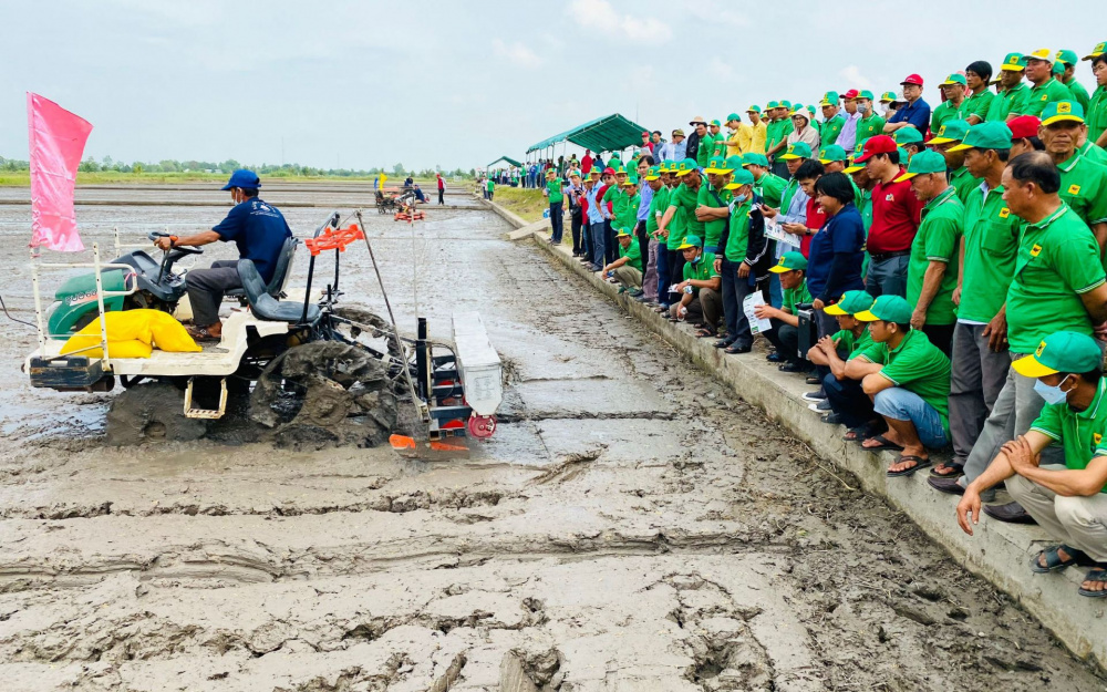 trình diễn gieo sạ