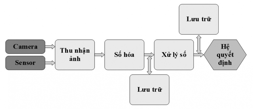 đo độ đục