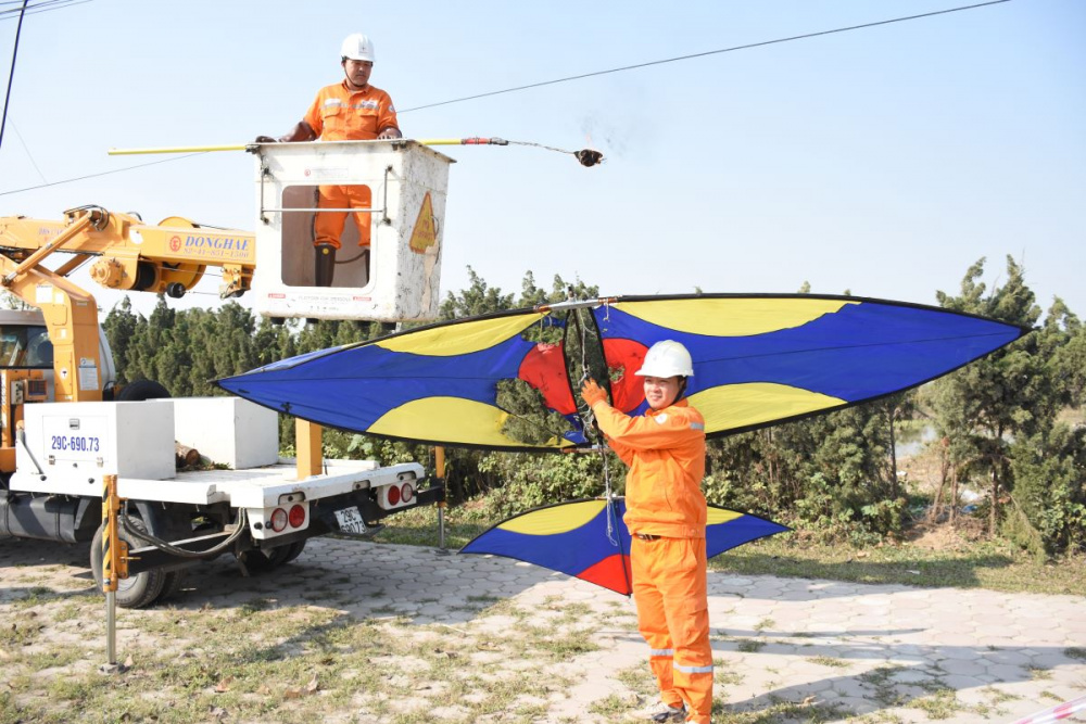 Những con diều kích thước lớn không chỉ gây gián đoạn cung cấp điện mà còn nguy hiểm cho tính mạng người thả diều