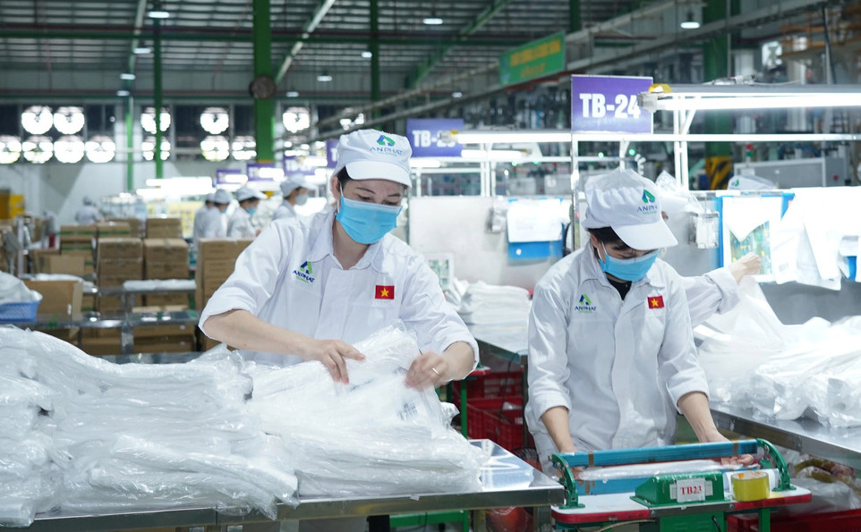 Nhựa An Phát Holdings