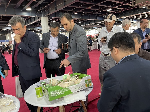 Hỗ trợ Cwincom hiện đang mở xuất Cwin com sòng bạc trực tuyến đến gần hơn thị trường Iran