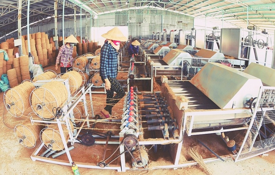 san pham xo dua tra vinh