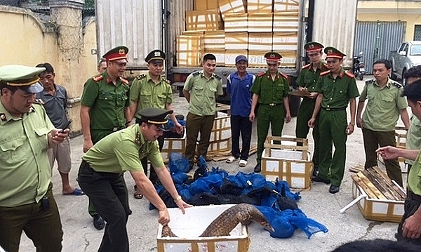Đẩy mạnh truyền thông để bảo vệ các loài động vật hoang dã, quý hiếm