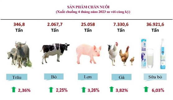 ngành chăn nuôi Lâm Đồng