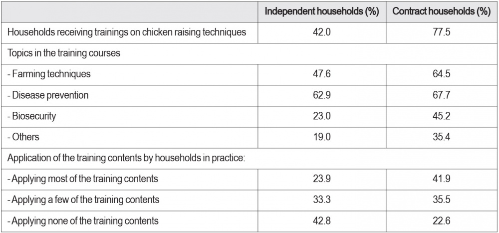 household chicken farming