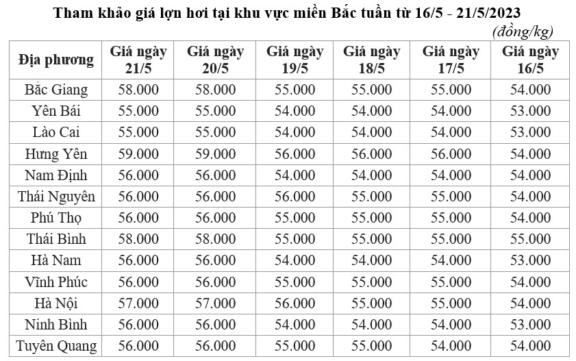 giá lợn hơi miền Bắc