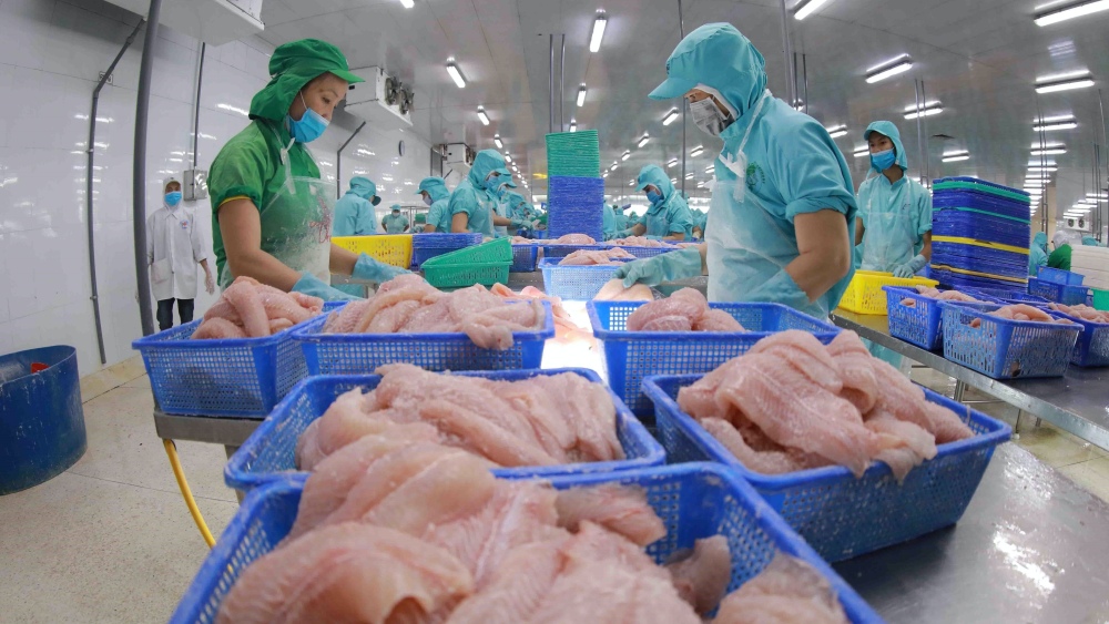Đầu tư và Phát triển Đa quốc gia IDI chế biến Cwin Đăng Ký + 1888k cá tra