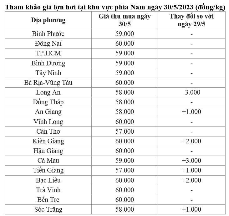 giá lợn hơi