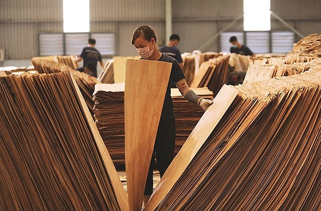 Chống bán phá giá gỗ dán Việt Nam