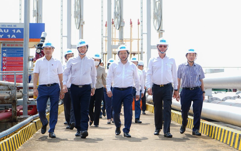 cạu tau a1