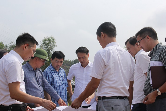 du an dong trang bach