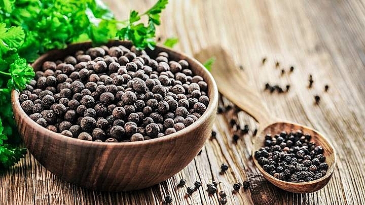 Cwin Đăng Ký + 1888k hạt tiêu