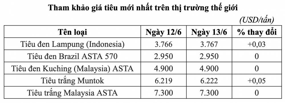 Giá tiêu ngày 14/6