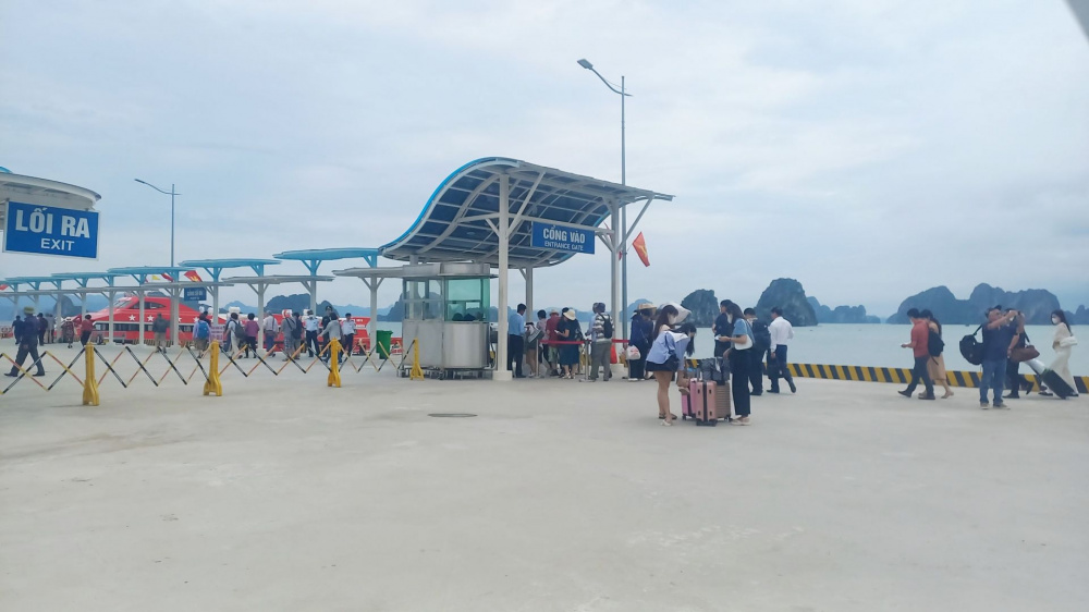 Công ty Điện lực Quảng Ninh