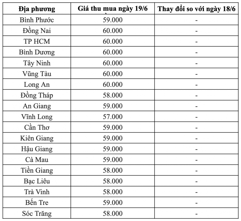 Giá lợn hơi ngày 19/6