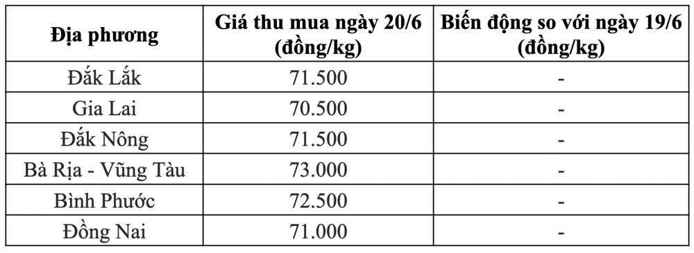 Giá tiêu hôm nay