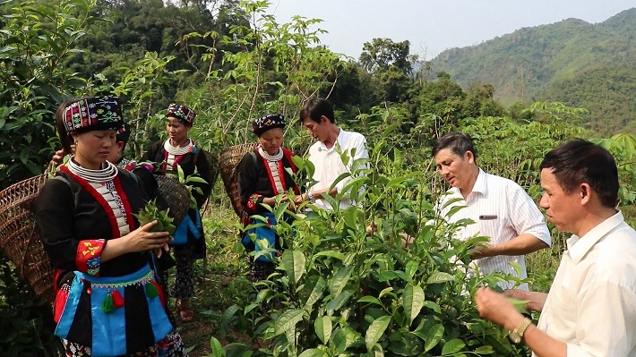 Nậm Pồ