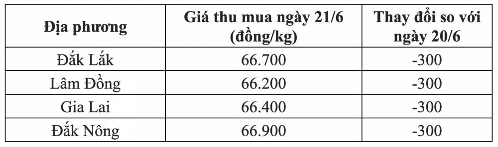 Giá cà phê hôm nay