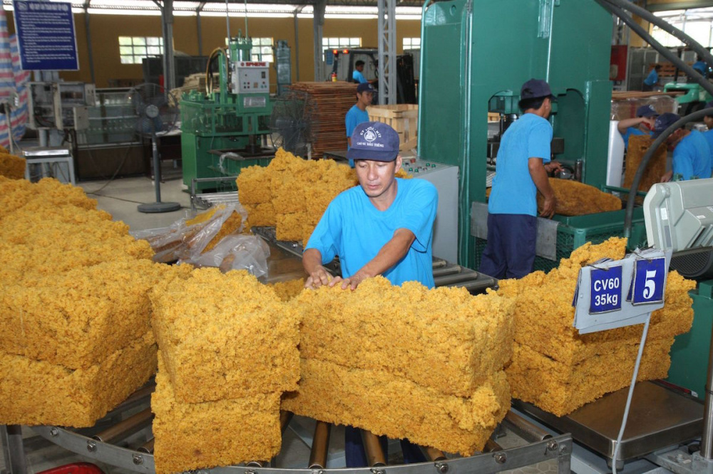 Sản xuất cao su Tập đoàn Tải về ứng dụng CWIN05 ngay hôm nay Cao su Việt Nam