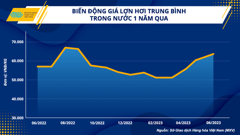 Giá lợn hơi hôm nay