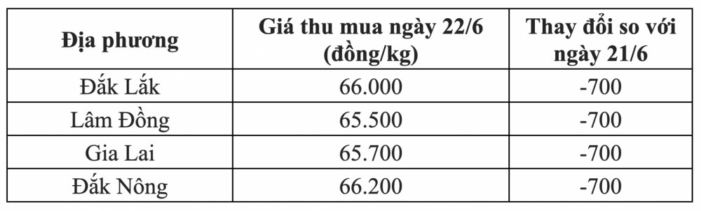 Giá cà phê hôm nay