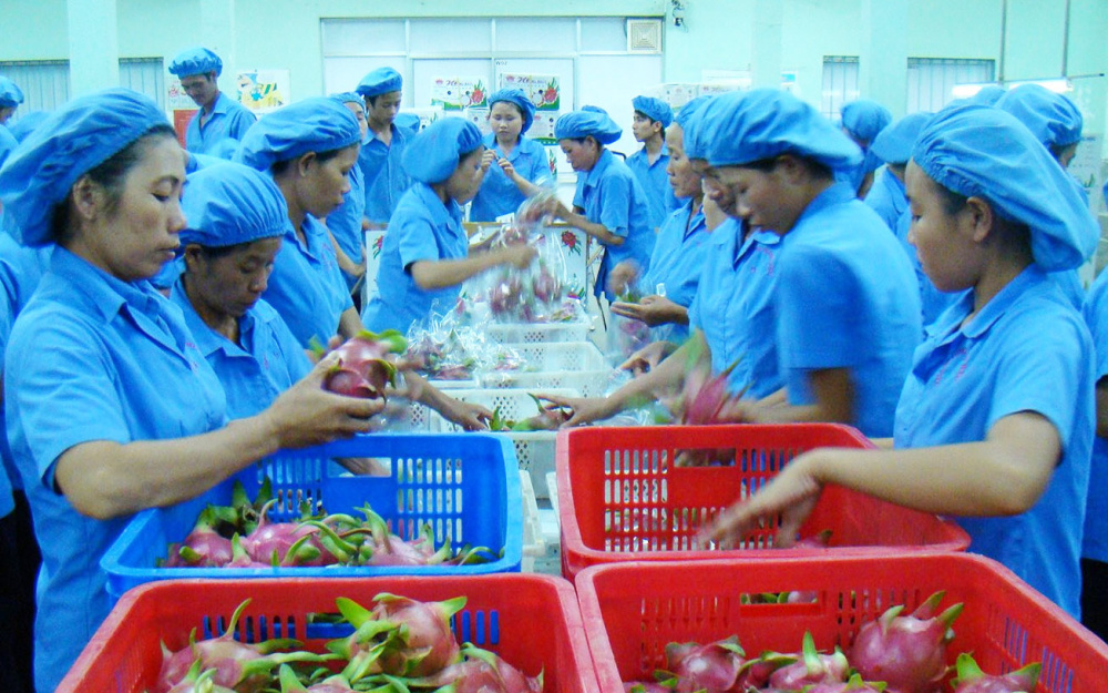 nông sản Cwin Đăng Ký + 1888k 