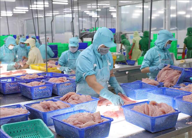 Hiệp định CPTPP