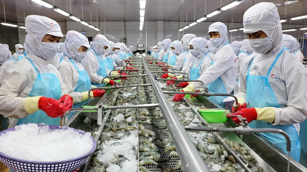 Thuỷ sản Minh Phú Cwin Đăng Ký + 1888k tôm