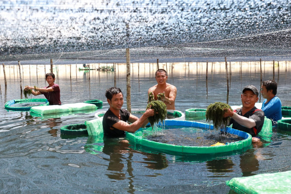 ngành thuỷ sản