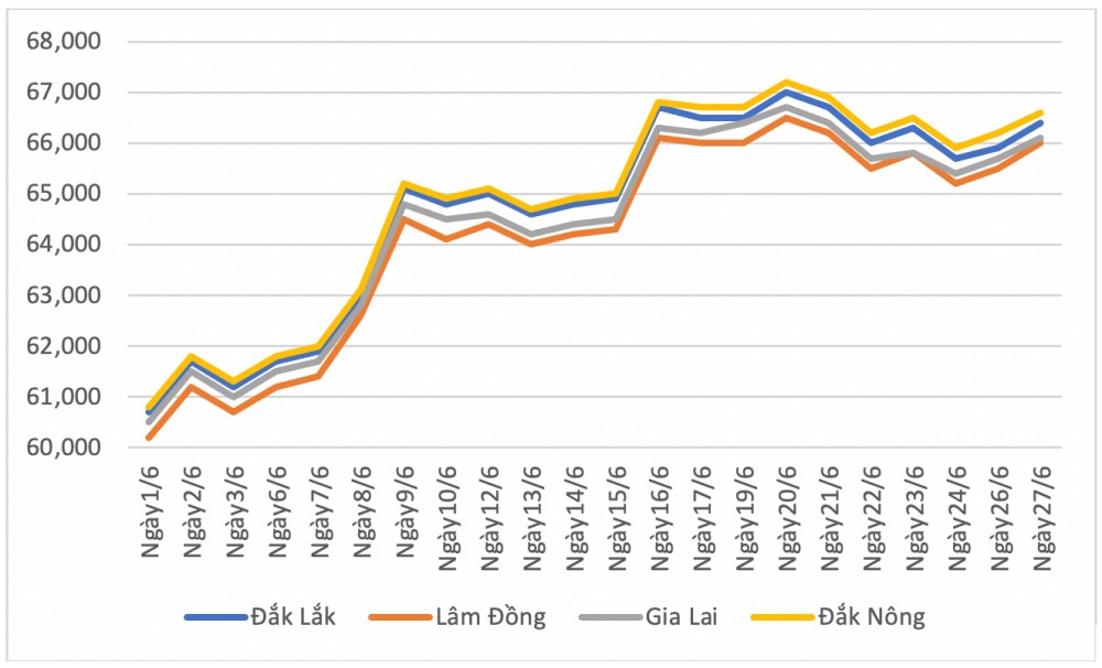 Diễn biến giá cà phê Việt Nam