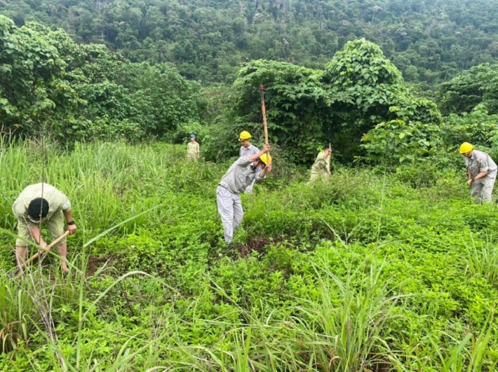 CBCNV Phân xưởng VHBTS trồng cây xanh  bảo vệ môi trường