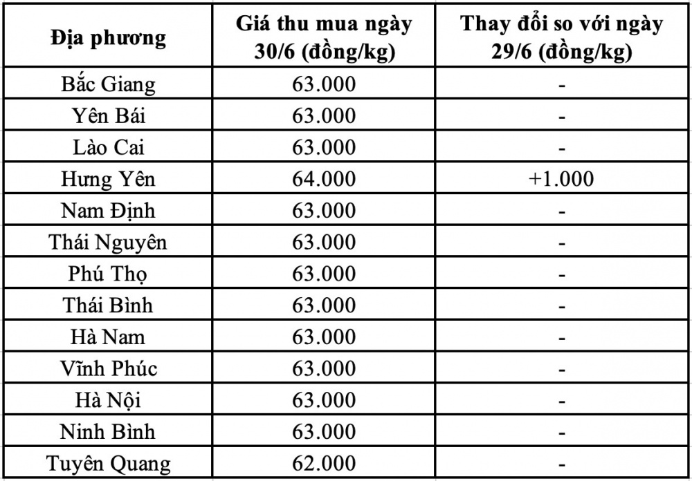 Giá heo hơi hôm nay 30/6