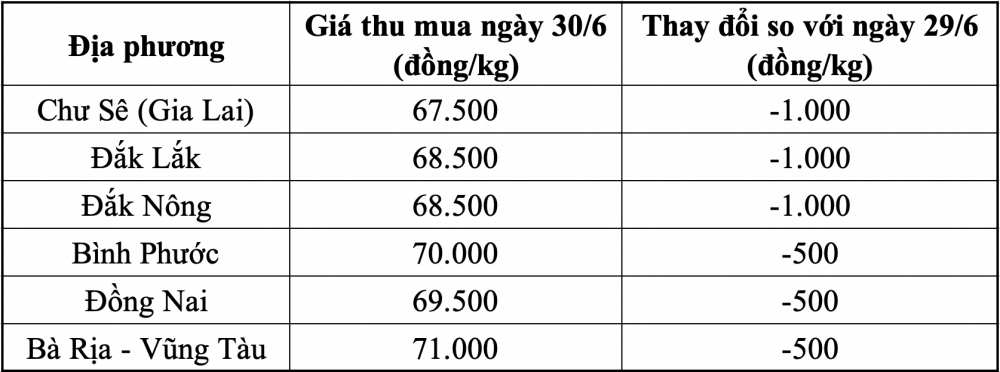 Giá tiêu hôm nay 30/6: Giá tiếp tục giảm, cao nhất 70.000 đồng/kg