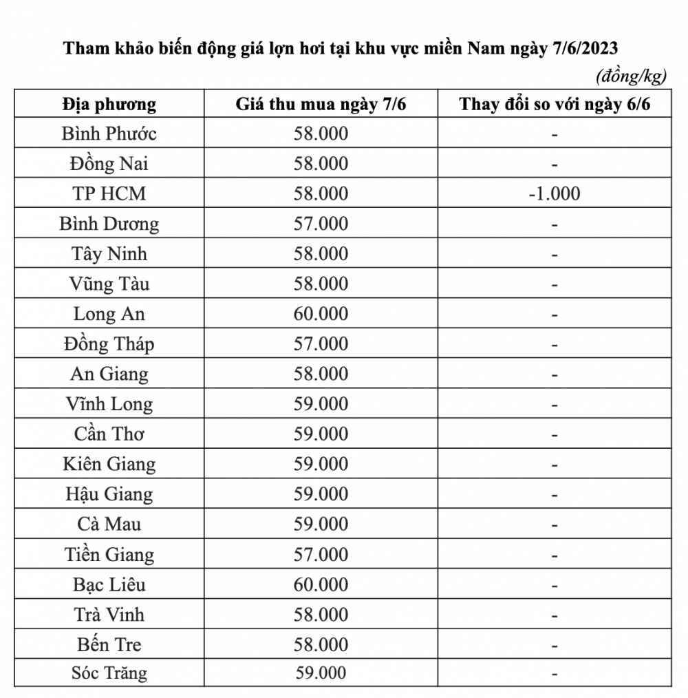 Giá lợn hơi ngày 7/6