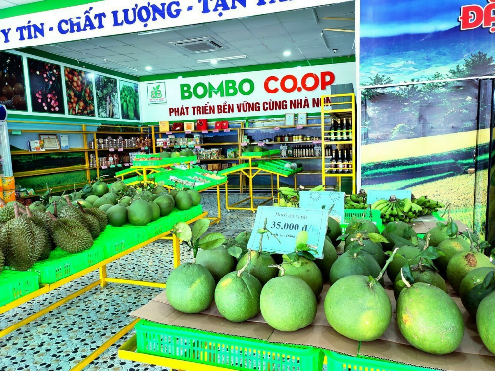 hội chợ trái cây