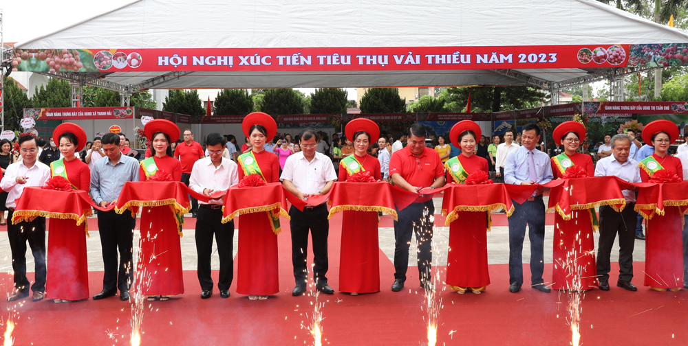 Hội nghị xúc tiến tiêu thụ vải thiều Bắc Giang năm 2023
