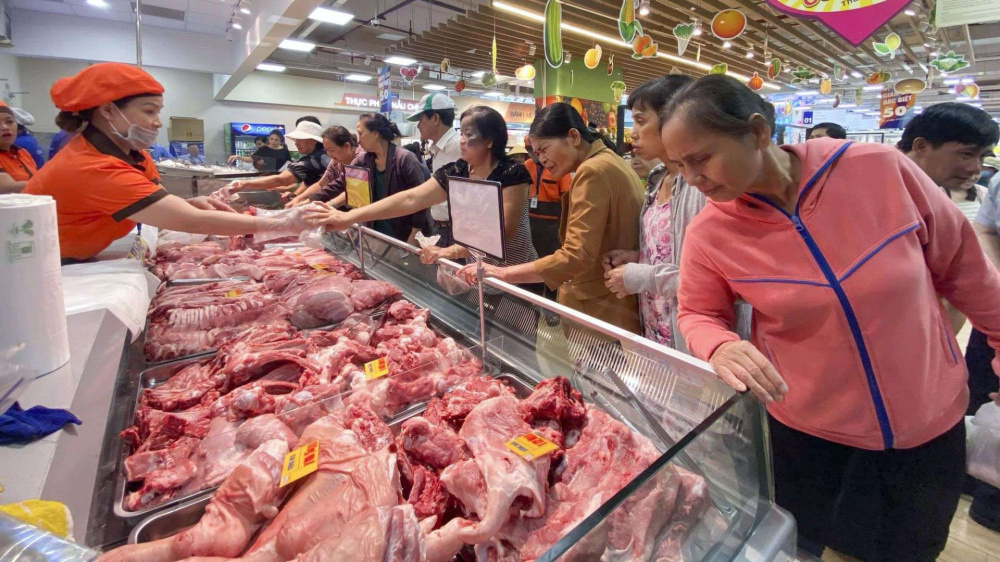 Giá lợn hơi hôm nay tăng
