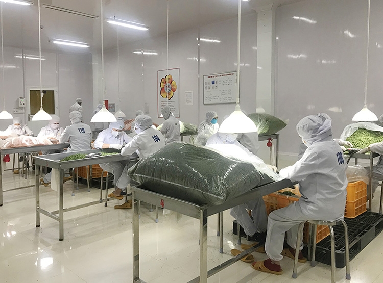 hỗ trợ thu hồi vốn