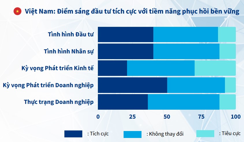 Cwin800 hàng ngàn khuyến mãi châu Âu