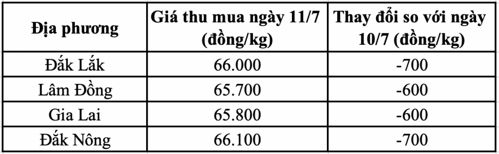 Giá cà phê hôm nay