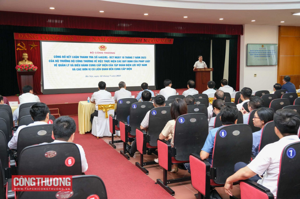 Toàn cảnh buổi công bố kết luận thanh tra chuyên ngành về quản lý và điều hành cung cấp điện của EVN và các đơn vị có liên quan