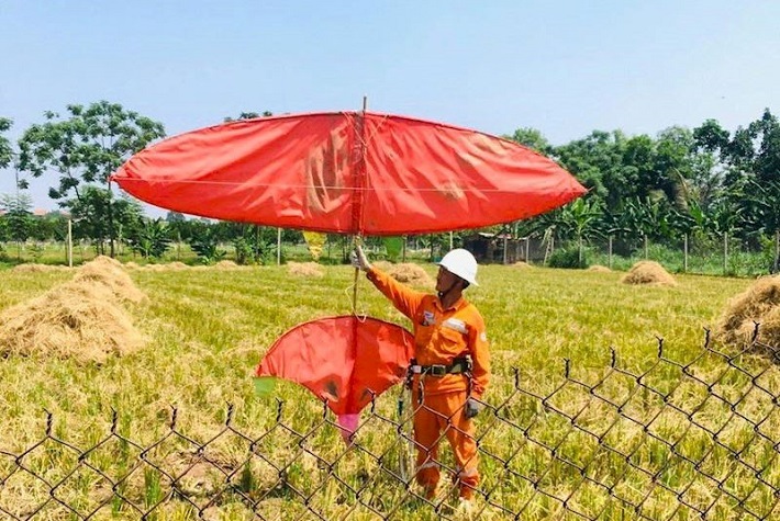 thả diều