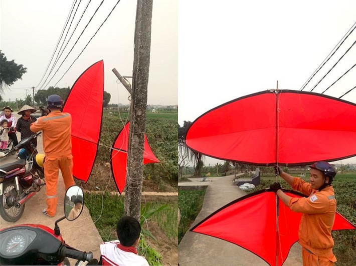 thả diều