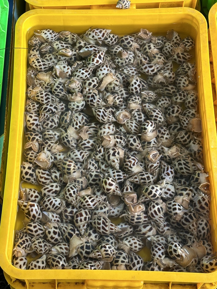 Giá chế biến được niêm yết công khai tại các quầy bán hải sản.