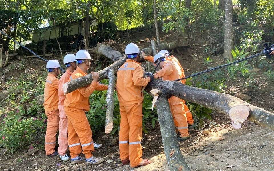 kiểm tra lưới điện
