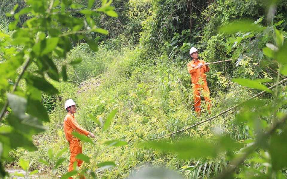 EVNNPC lưới điện