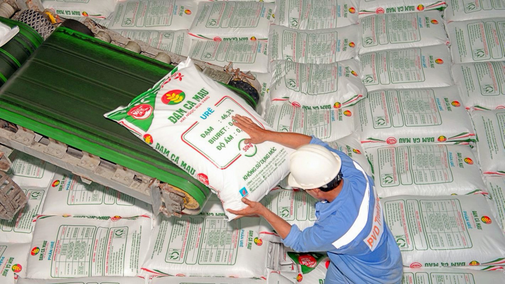Kết quả kinh doanh Đạm Cà Mau