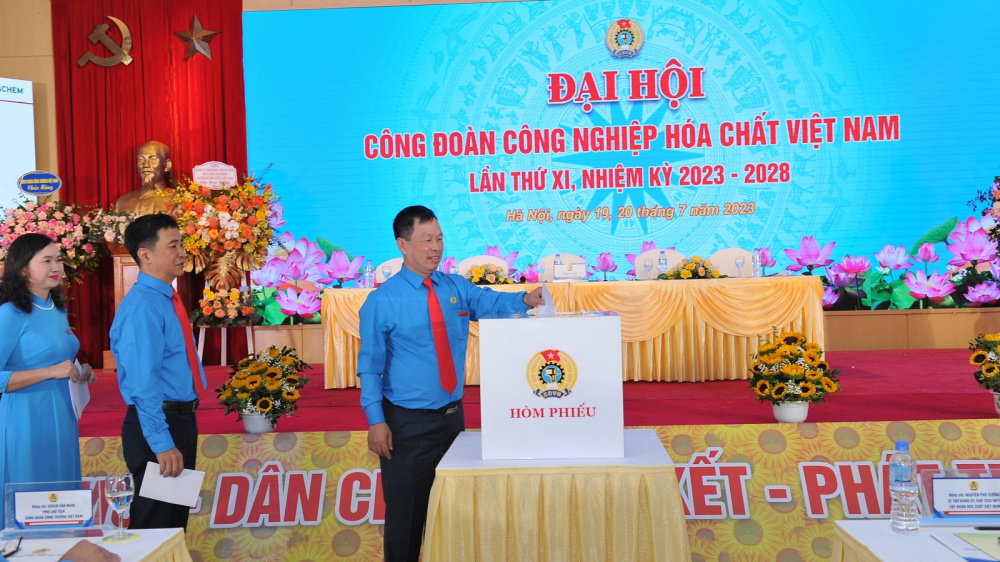 bỏ phiếu